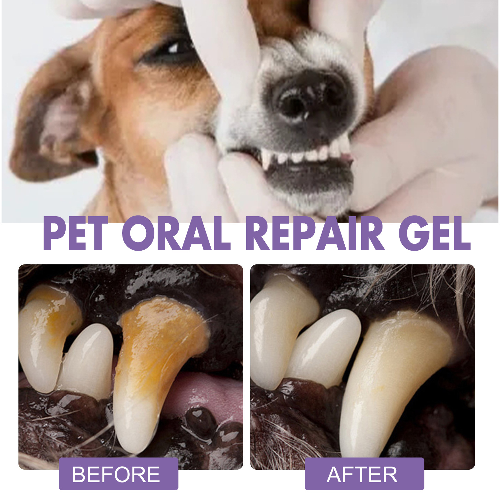 Pet Oral Repair Gel Puppy Tart - Teeth Whitening Hydrogen Peroxide reseña y precio