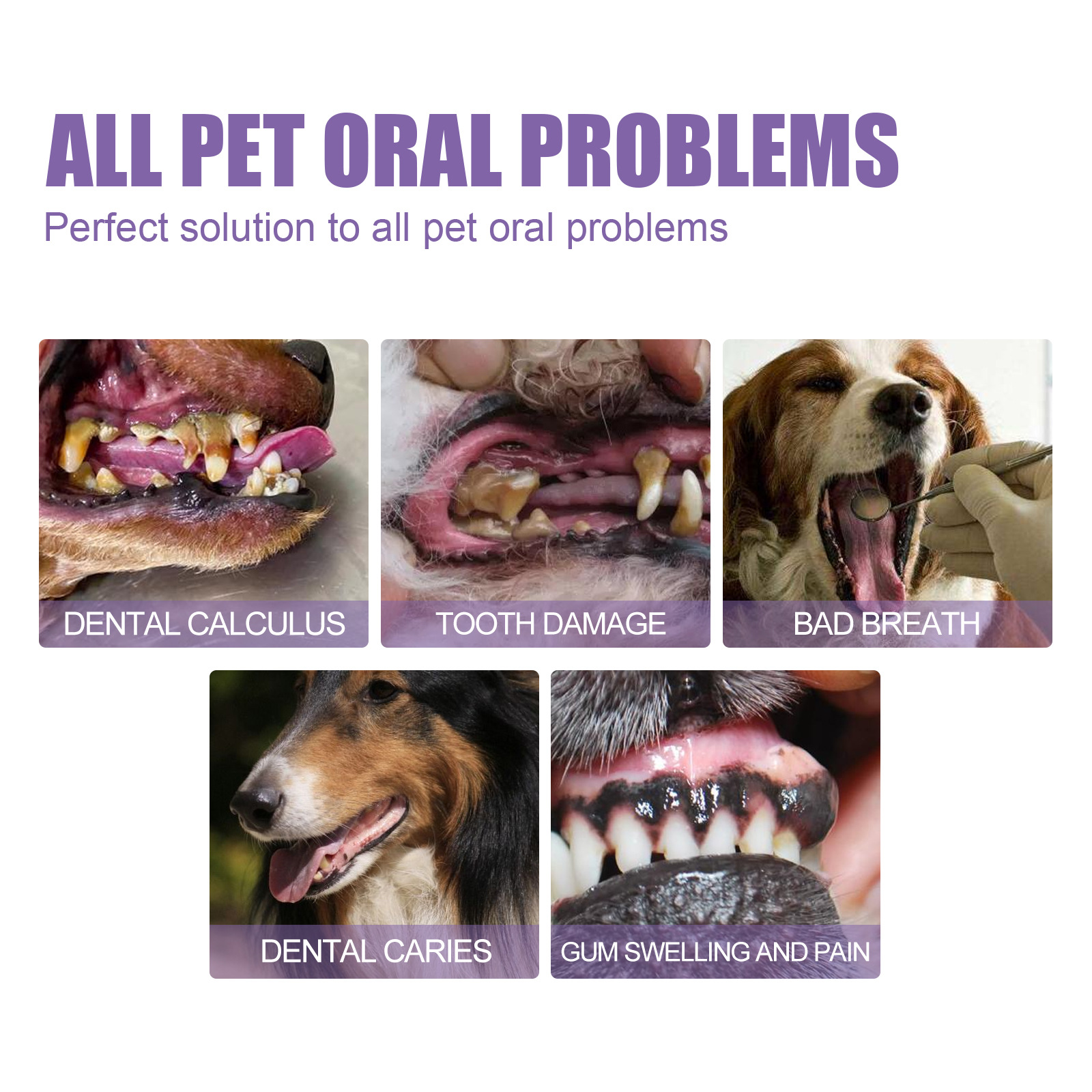 Pet Oral Repair Gel Puppy Tart - Teeth Whitening Hydrogen Peroxide reseña y precio
