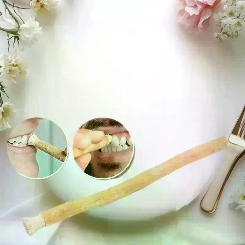 1Pcs Portable Natural Miswak T - Teeth Whitening Toothbrush reseña y precio